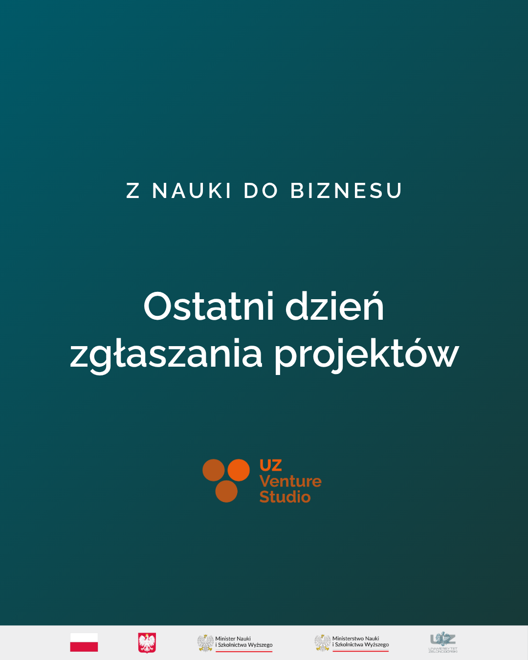 venture_studio_grafika.png