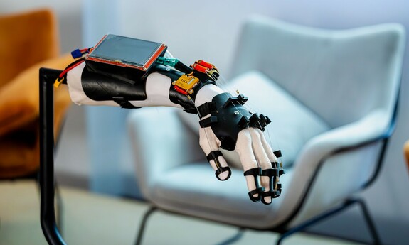 fot. A. Błażewicz-Nowak